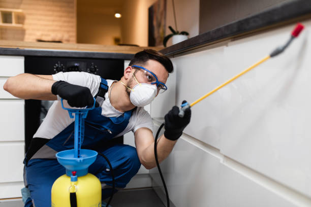 Best Ant Control Services  in North Corbin, KY