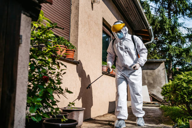 Trusted North Corbin, KY Pest Control Experts