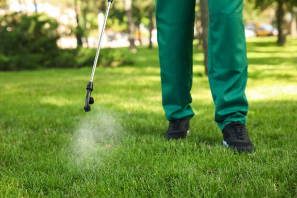 Best Pest Inspection Near Me  in North Corbin, KY