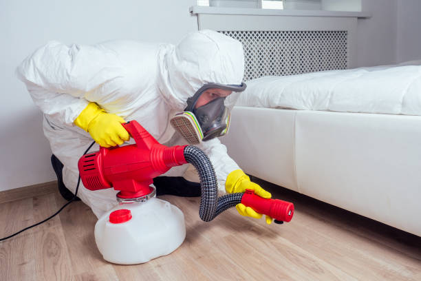 Best Affordable Pest Control Services  in North Corbin, KY