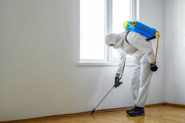 Best Commercial Pest Control Services  in North Corbin, KY