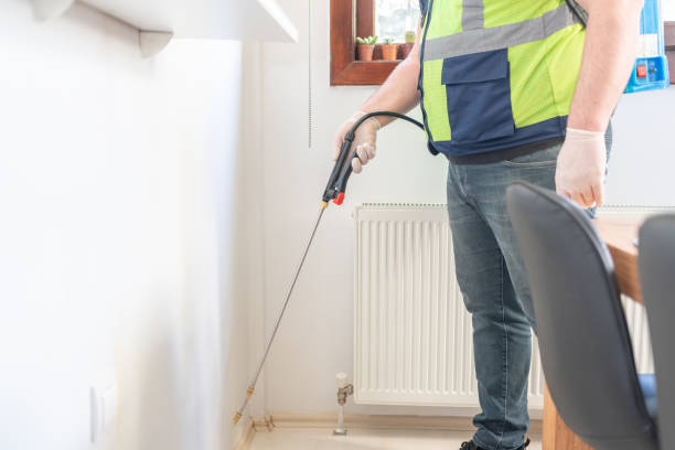 Best Affordable Pest Control Services  in North Corbin, KY