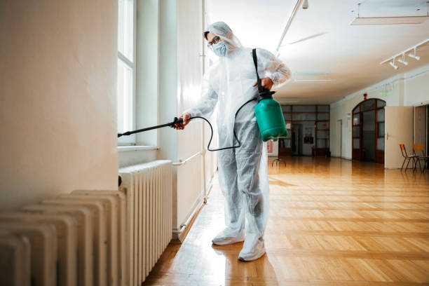 Best Mosquito Control Services  in North Corbin, KY